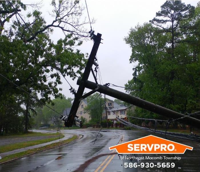 Downed powerlines and a damaged tree are shown after a storm.