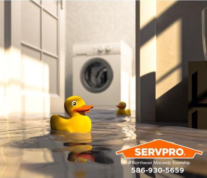 A rubber duck floats in water from a flooded laundry room.
