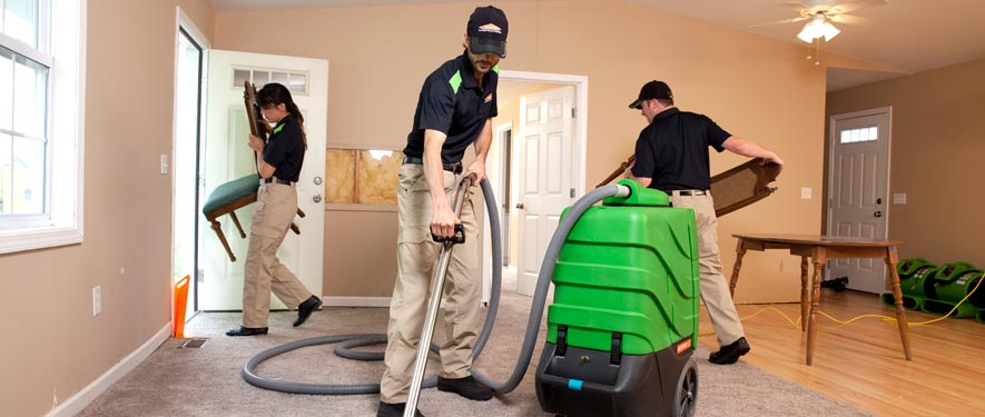 Macomb, MI cleaning services